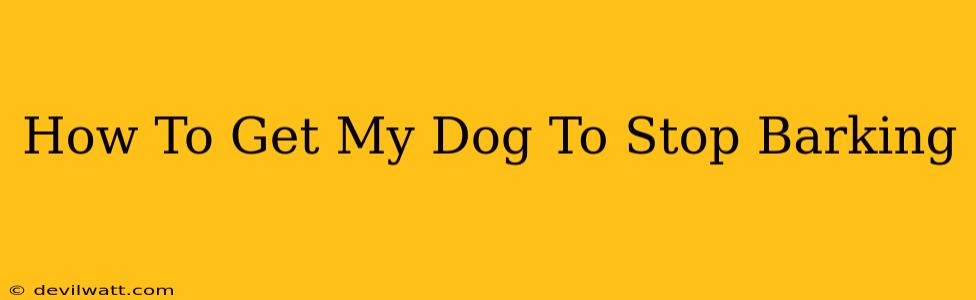 How To Get My Dog To Stop Barking