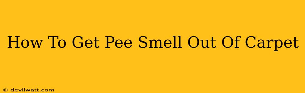 How To Get Pee Smell Out Of Carpet