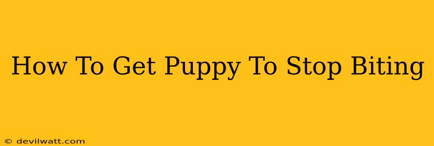 How To Get Puppy To Stop Biting