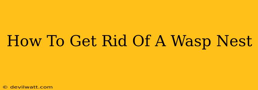 How To Get Rid Of A Wasp Nest