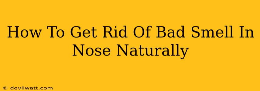 How To Get Rid Of Bad Smell In Nose Naturally