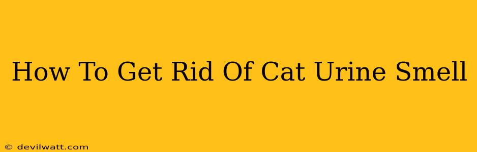 How To Get Rid Of Cat Urine Smell