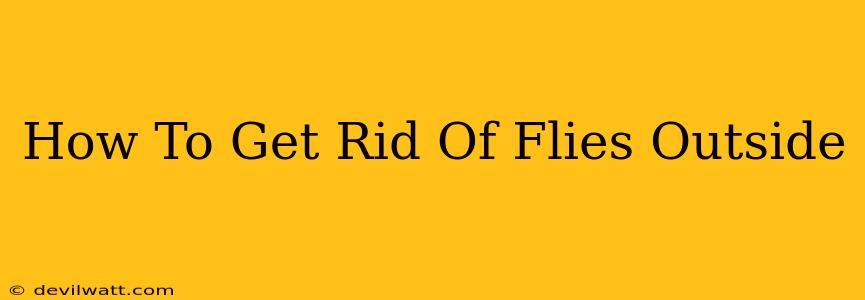 How To Get Rid Of Flies Outside