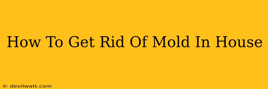 How To Get Rid Of Mold In House