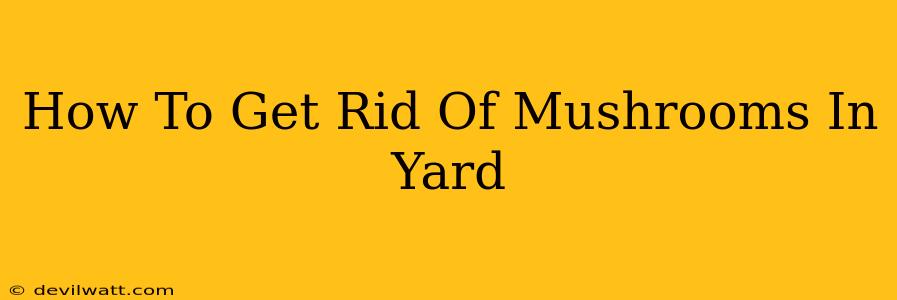 How To Get Rid Of Mushrooms In Yard