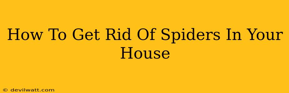 How To Get Rid Of Spiders In Your House