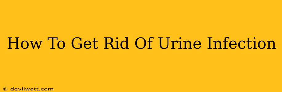 How To Get Rid Of Urine Infection