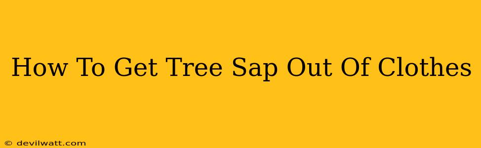 How To Get Tree Sap Out Of Clothes