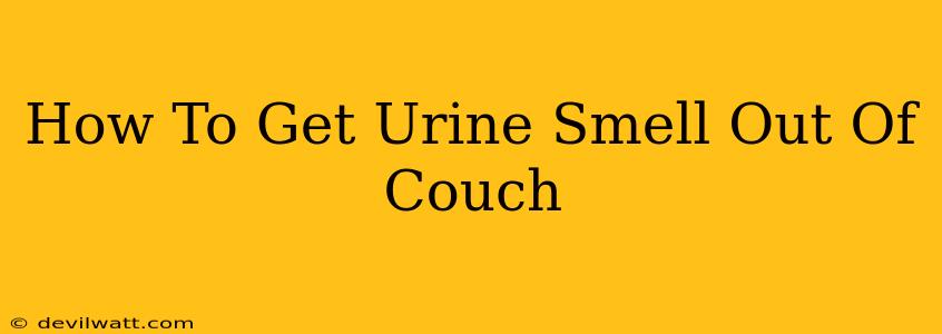 How To Get Urine Smell Out Of Couch