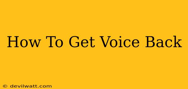 How To Get Voice Back