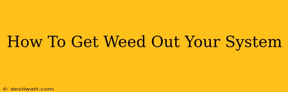 How To Get Weed Out Your System