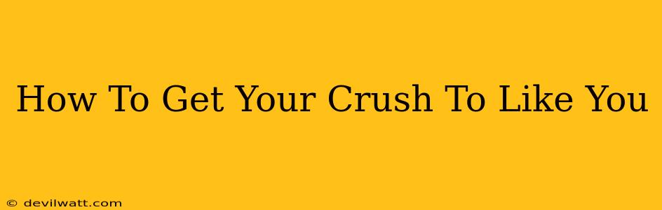 How To Get Your Crush To Like You