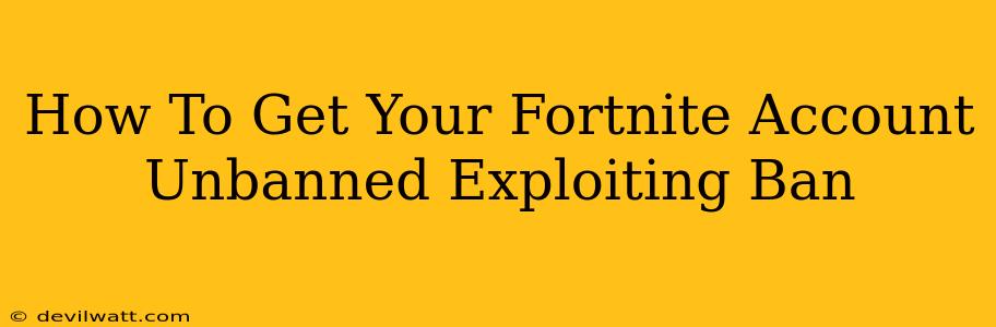 How To Get Your Fortnite Account Unbanned Exploiting Ban