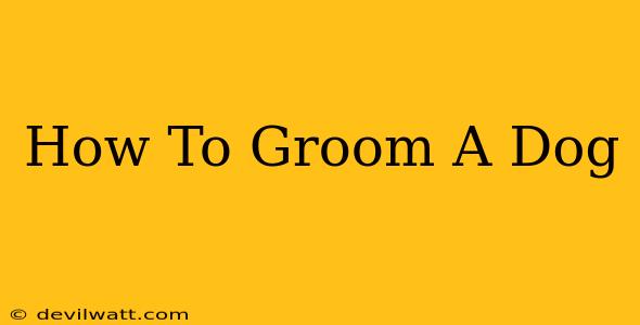 How To Groom A Dog