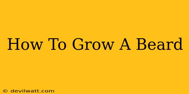 How To Grow A Beard