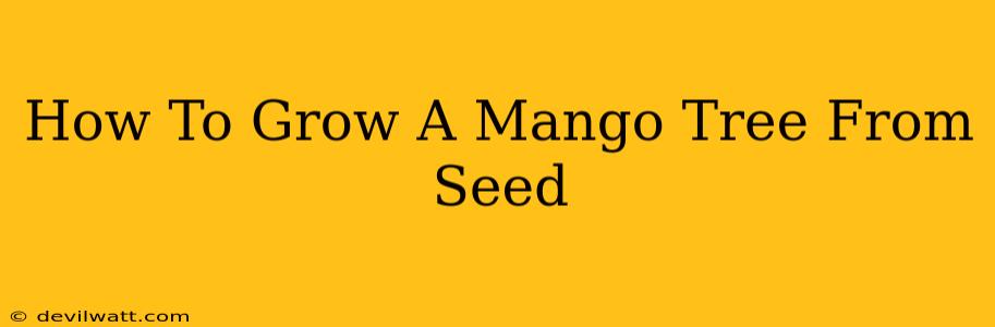 How To Grow A Mango Tree From Seed