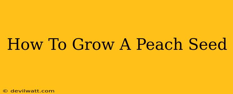 How To Grow A Peach Seed