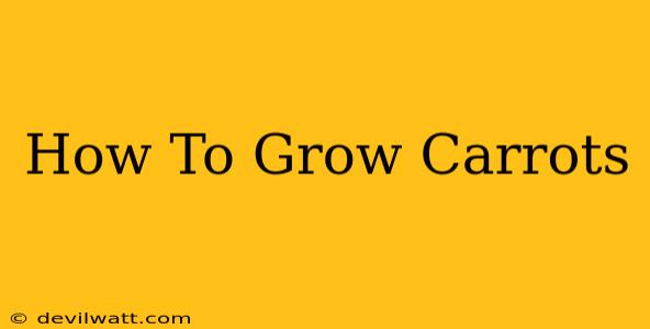 How To Grow Carrots