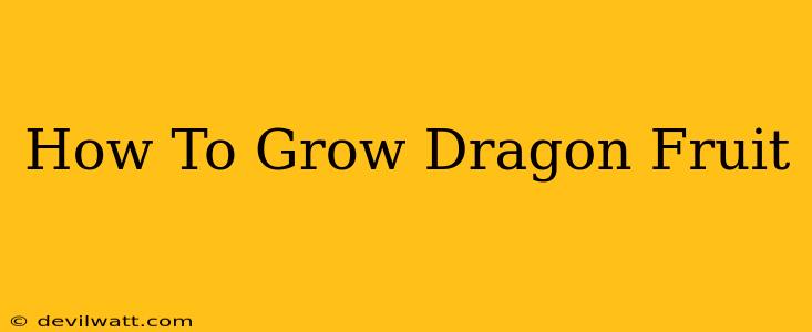 How To Grow Dragon Fruit