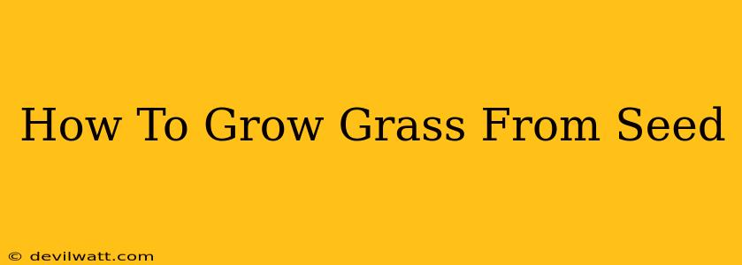 How To Grow Grass From Seed