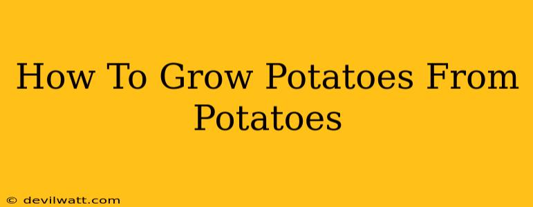 How To Grow Potatoes From Potatoes