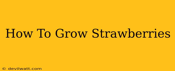 How To Grow Strawberries