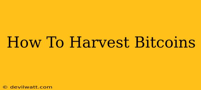 How To Harvest Bitcoins