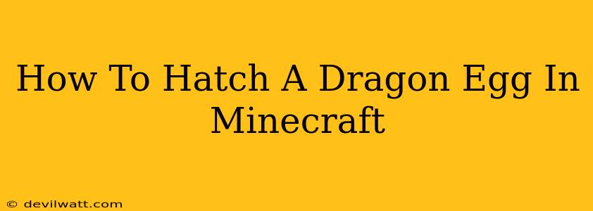 How To Hatch A Dragon Egg In Minecraft