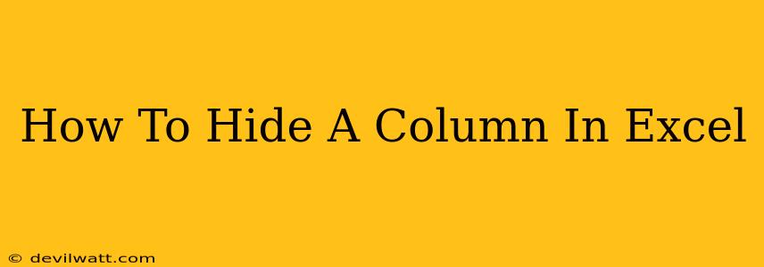 How To Hide A Column In Excel