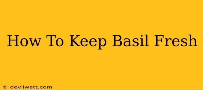 How To Keep Basil Fresh