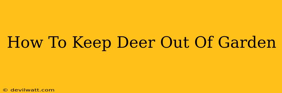 How To Keep Deer Out Of Garden