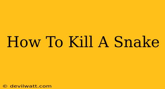 How To Kill A Snake