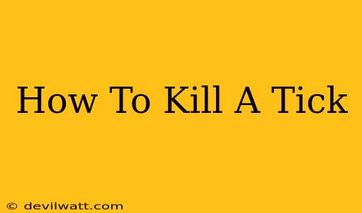 How To Kill A Tick