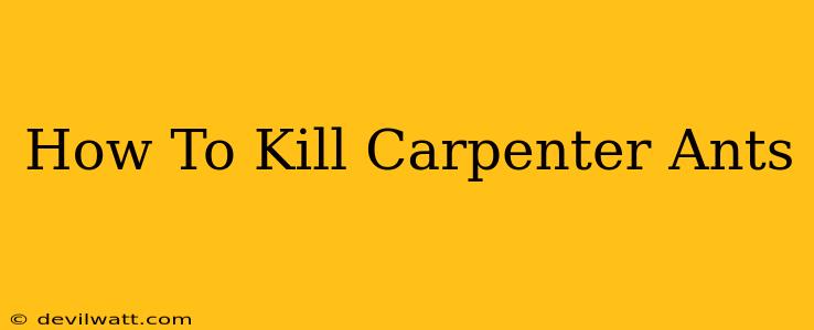 How To Kill Carpenter Ants