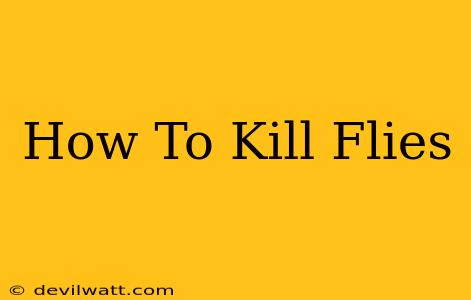 How To Kill Flies