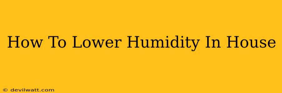 How To Lower Humidity In House