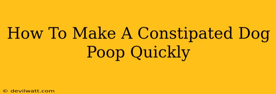 How To Make A Constipated Dog Poop Quickly