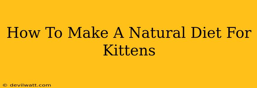 How To Make A Natural Diet For Kittens