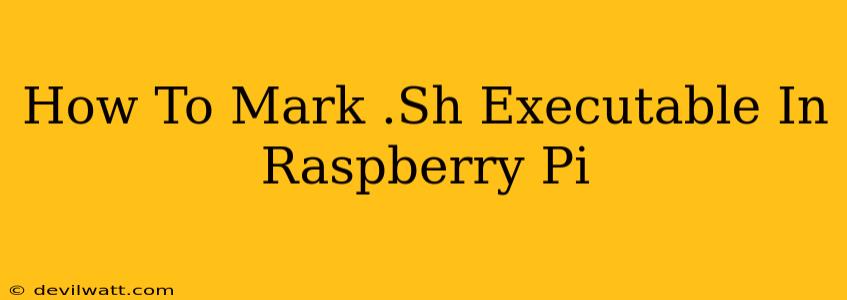 How To Mark .Sh Executable In Raspberry Pi