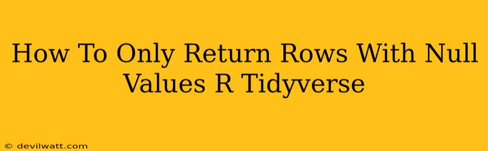 How To Only Return Rows With Null Values R Tidyverse