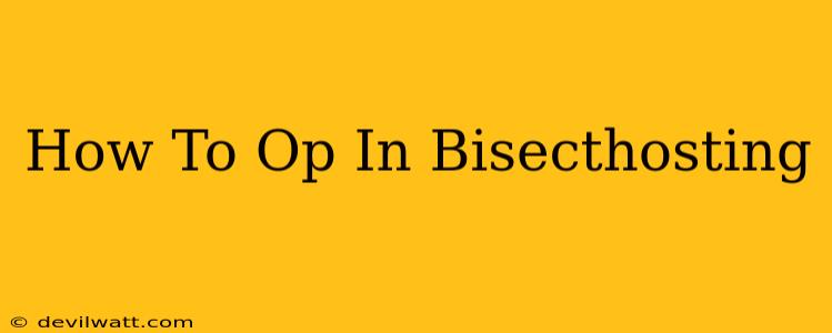 How To Op In Bisecthosting