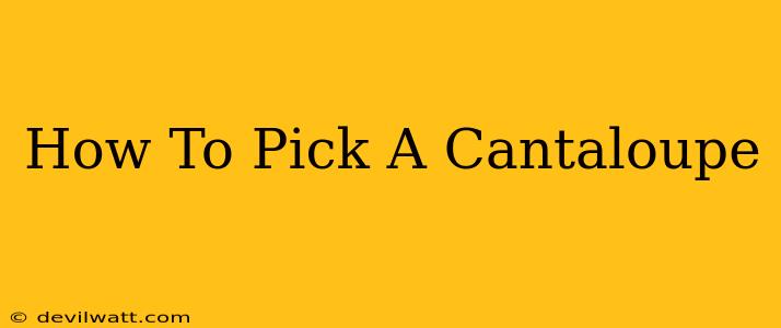 How To Pick A Cantaloupe