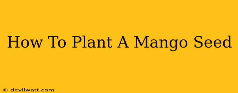 How To Plant A Mango Seed