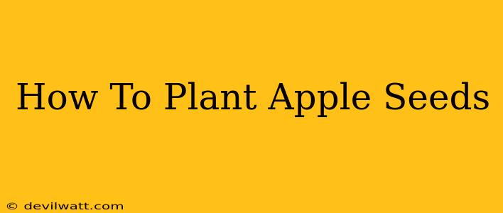 How To Plant Apple Seeds