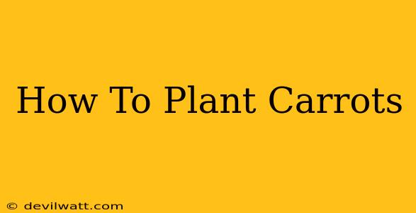 How To Plant Carrots