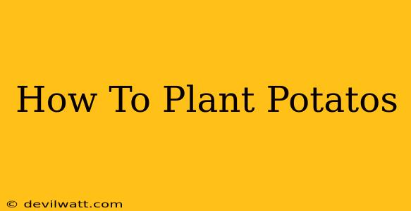 How To Plant Potatos