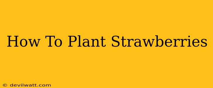 How To Plant Strawberries