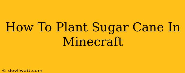 How To Plant Sugar Cane In Minecraft