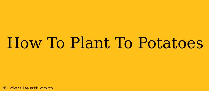 How To Plant To Potatoes