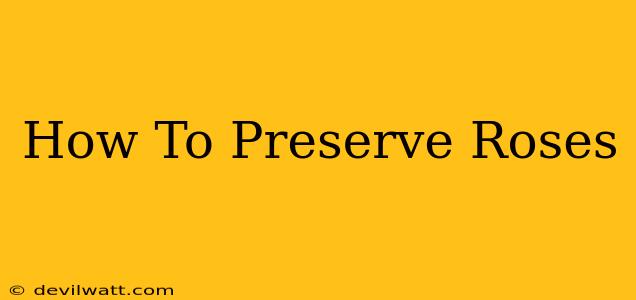 How To Preserve Roses